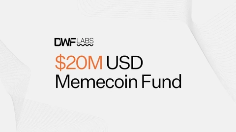 DWF Labs Press Release Banners USD$20M Memecoin Fund