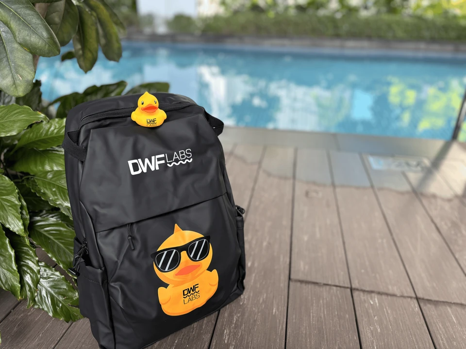 DWF Labs swag item for the TOKEN2049 Singapore 2024 giveaway