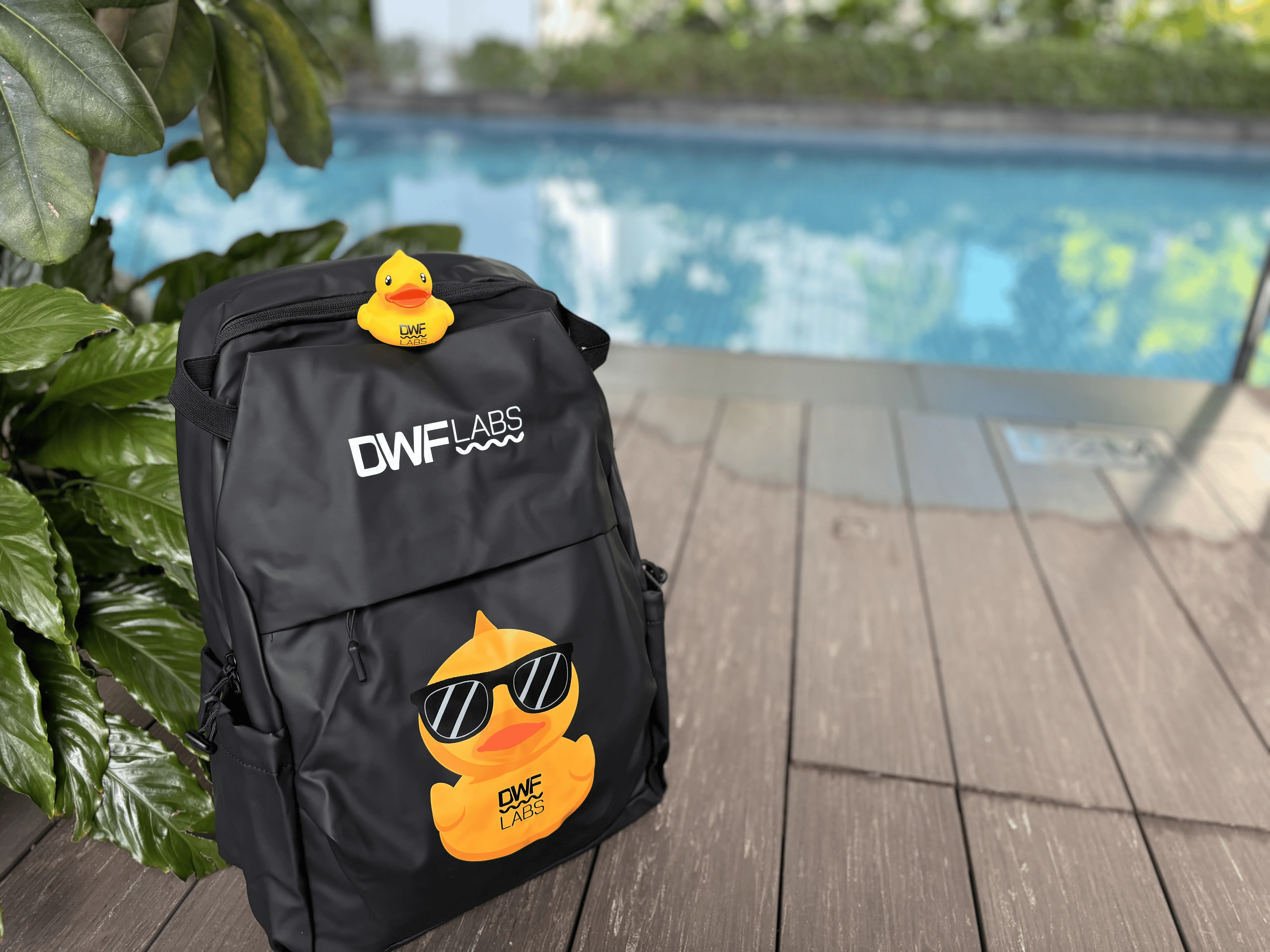 DWF Labs swag item for the TOKEN2049 Singapore 2024 giveaway
