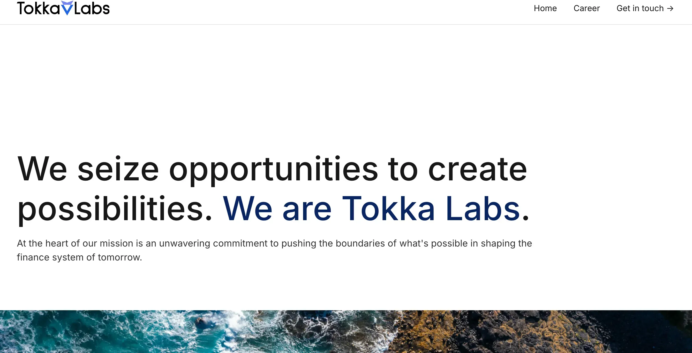 Tokka Labs website homepage. Source: Tokka Labs