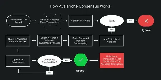 The working scheme of the Avalanche consensus protocol.