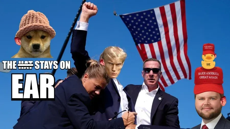 Trump Win