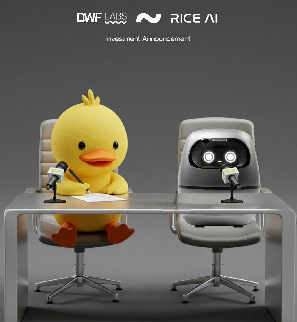 Banner announcing DWF Labs’ investment in Rice AI. Source: X @realRiceAI