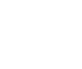 Onston