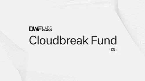 探秘 Cloudbreak：2000 万美元的 DWF Labs 新基金将为华语加密项目带来哪些机会?