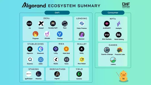 Algorand Overview: Why This Blockchain Ecosystem Has High Potential